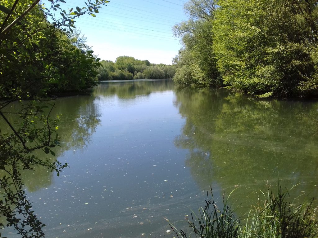 THIVERNY ETANG 20190515_144613