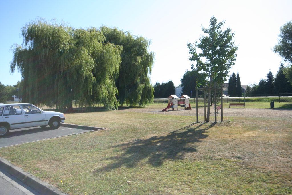 Zola (Impasse) IMG_1801