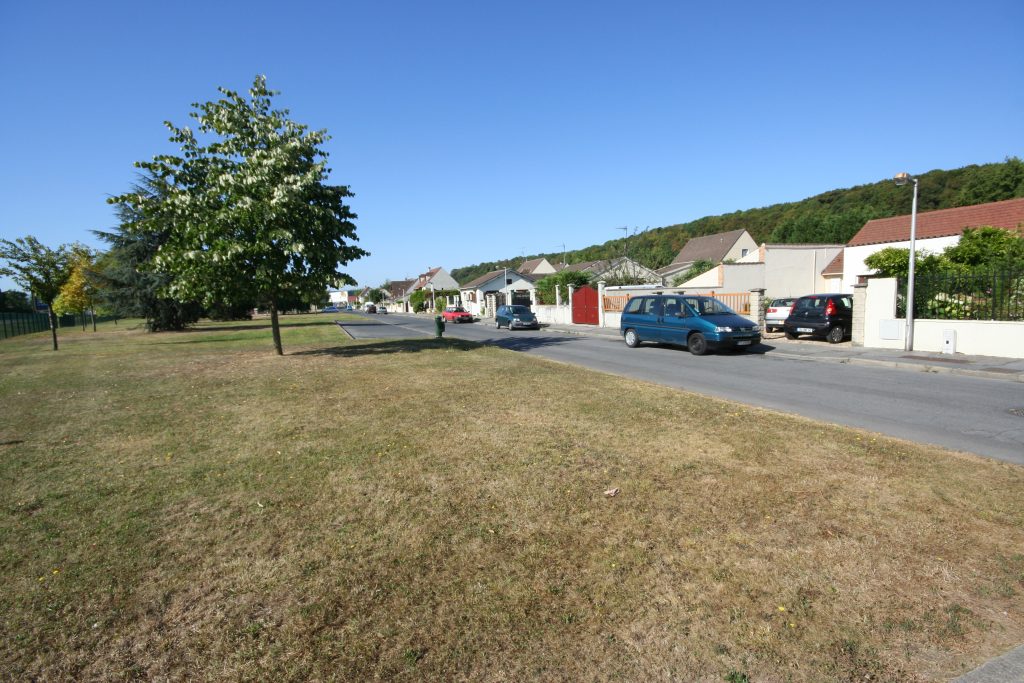 Zola (Impasse) IMG_1807