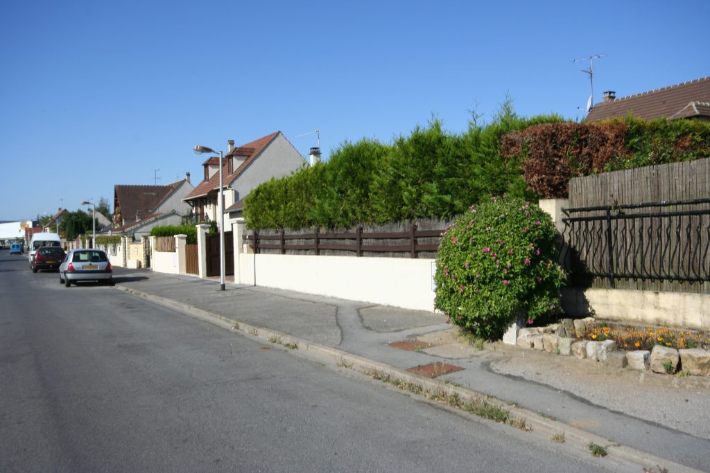 Zola (Impasse) IMG_1810