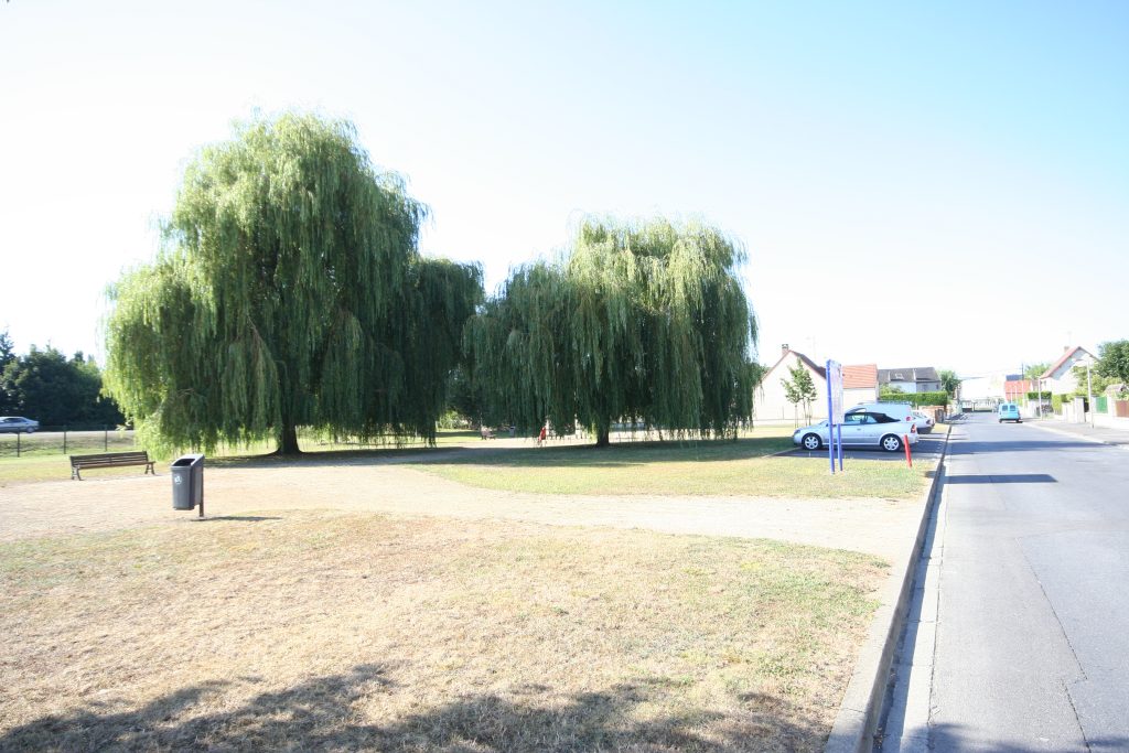 Zola (Impasse) IMG_1811