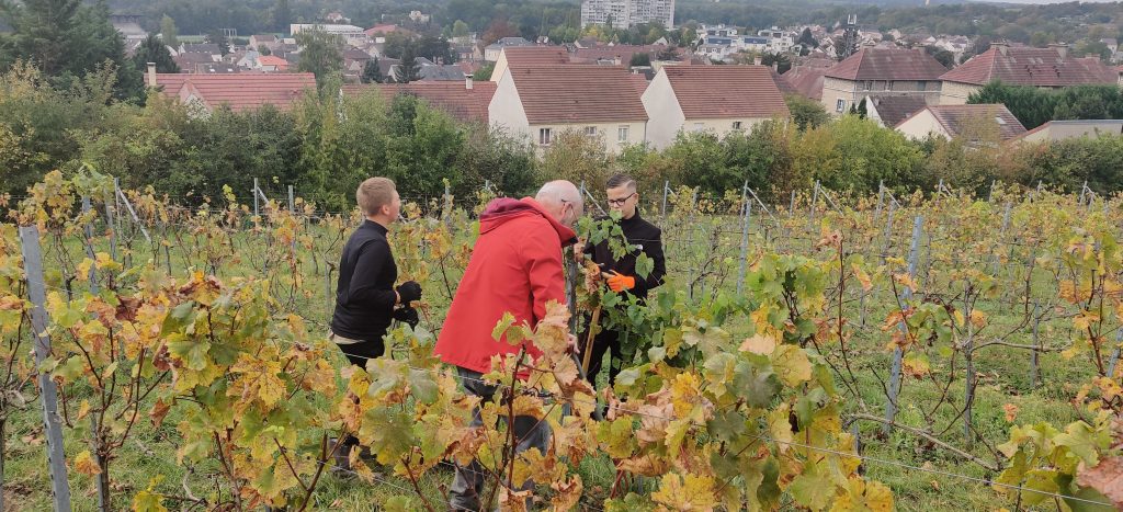 09 – Montataire – Cheres-Vignes-Guesde-Cité