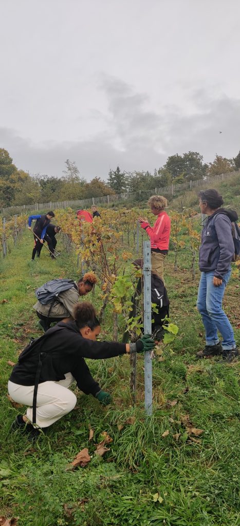 10 – Montataire – Cheres-Vignes-Guesde-Cité