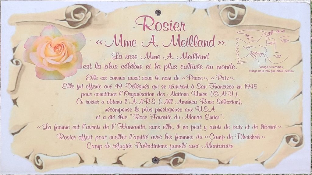 13 – Montataire – Espace milles visages de femmes A Meilland