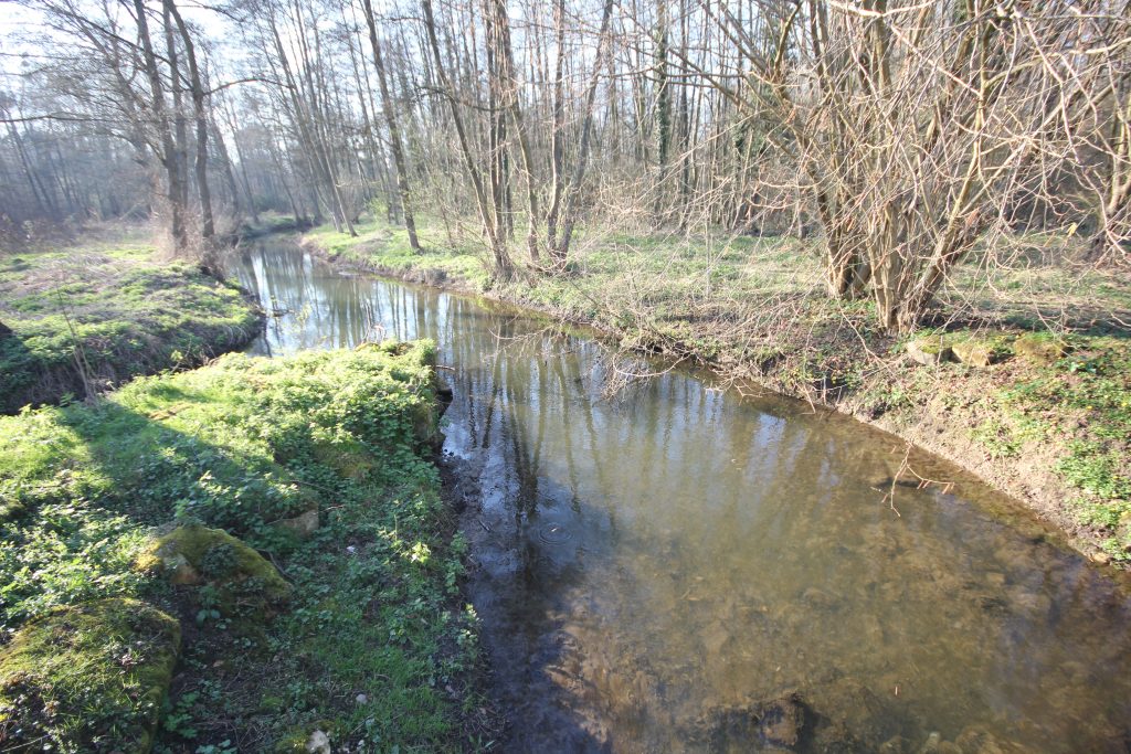 217 – Montataire – Le Thérain
