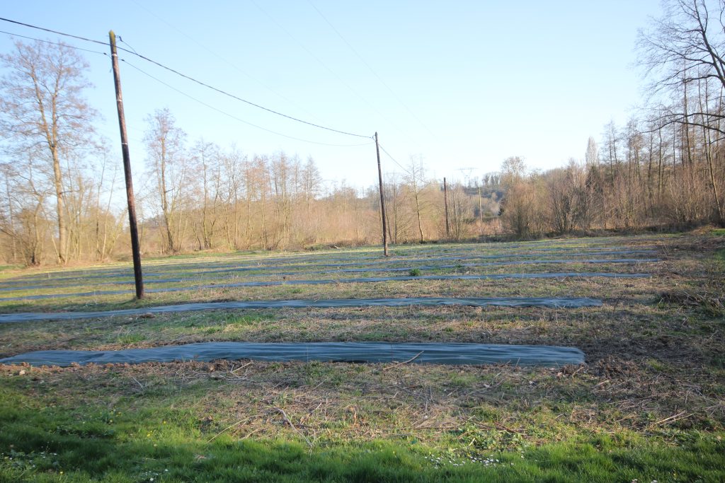 225 – Montataire – Le Thérain