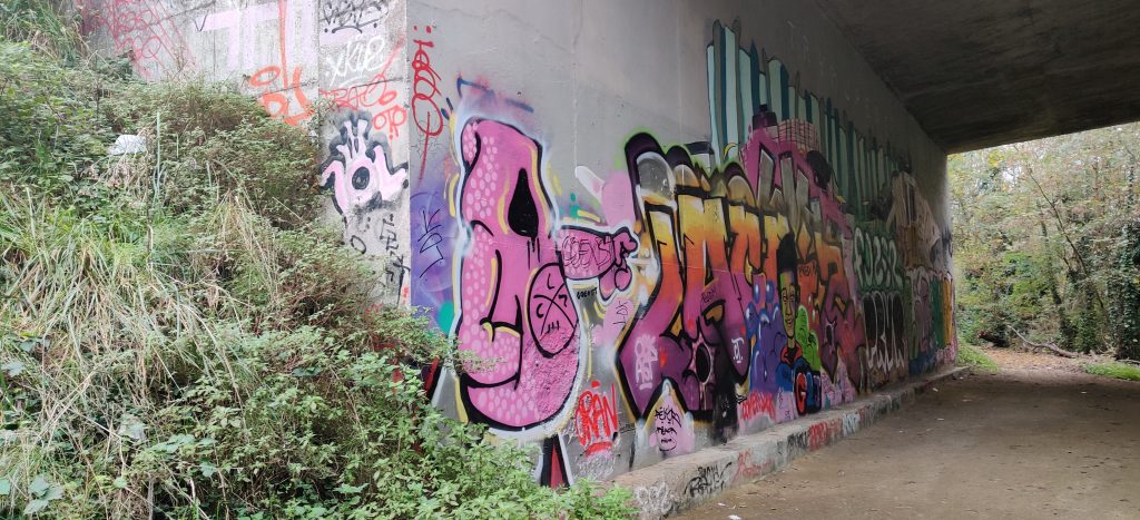 258 – Montataire – Le Thérain – Fresque – pont Graffiti