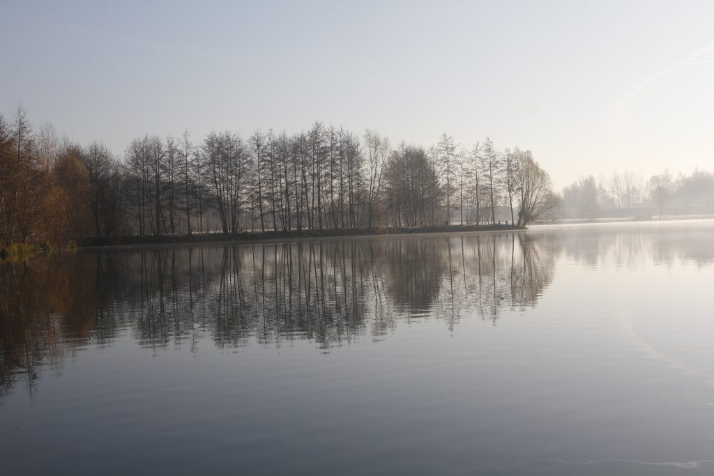 604 – Montataire – Rue Andrée Ginisti – Parc urbain – Etang – Brume