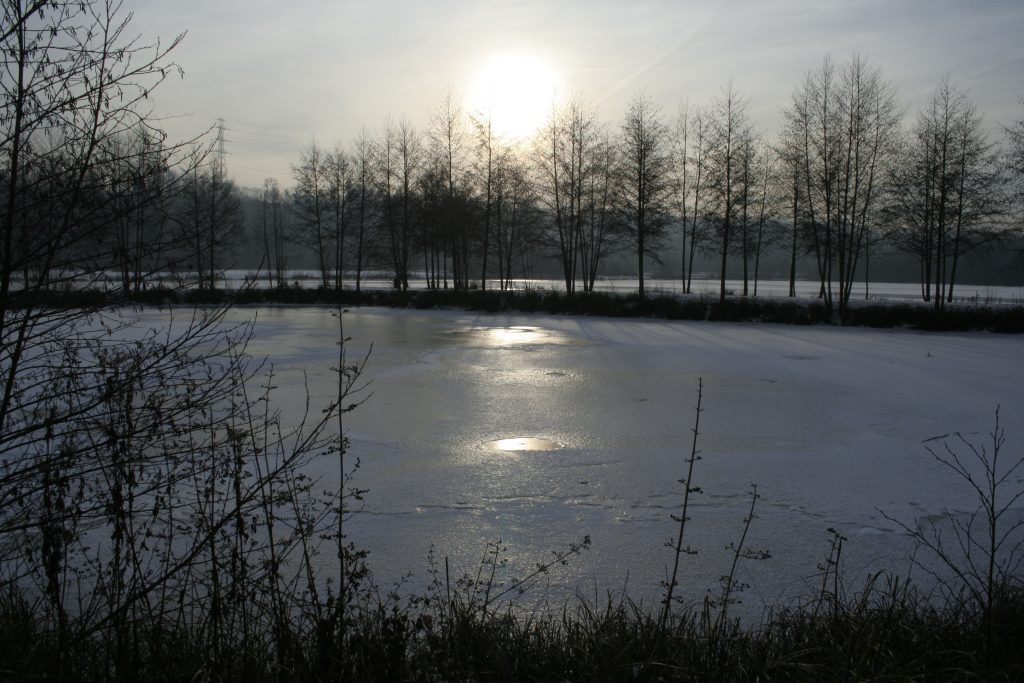 609 – Montataire – Rue Andrée Ginisti – Parc urbain – Etang