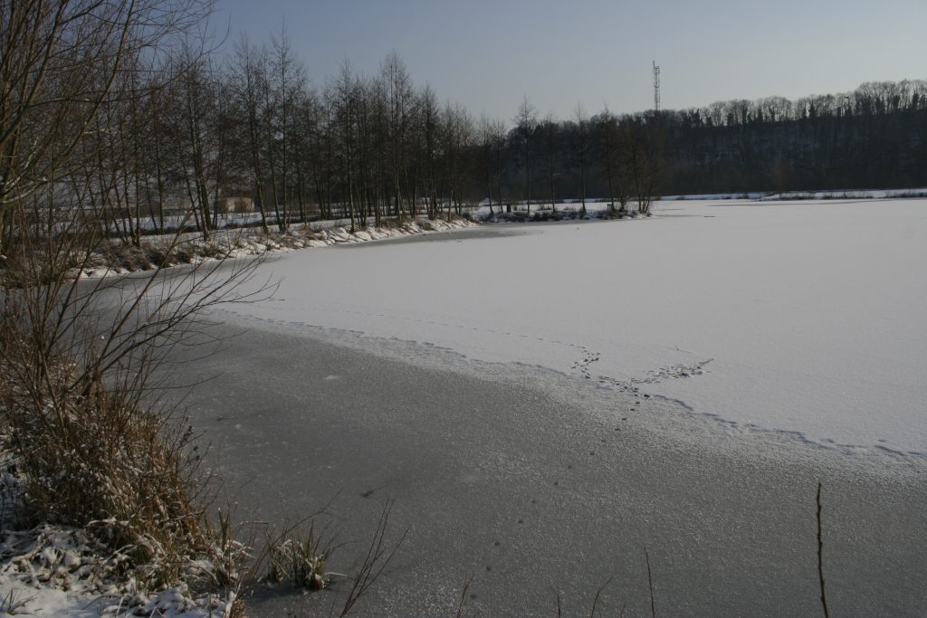 700 – Montataire – Rue Andrée Ginisti – Parc urbain – Etang – Gel