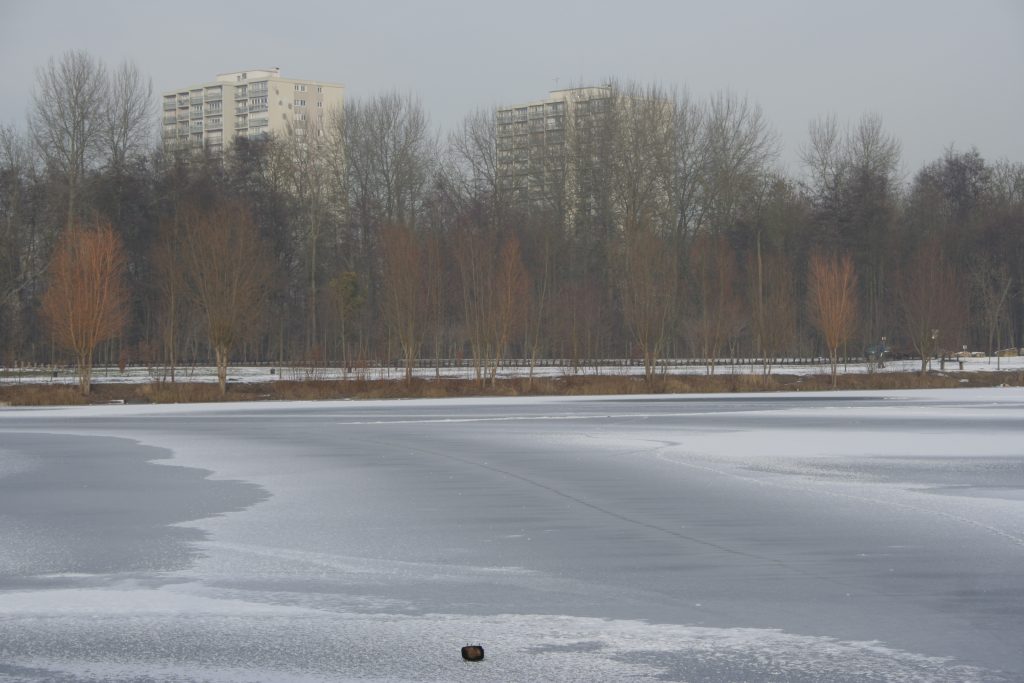703 – Montataire – Rue Andrée Ginisti – Parc urbain – Etang – Gel