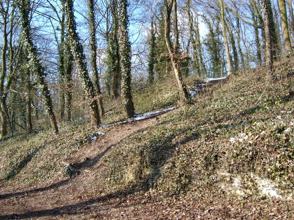 BOIS ESCALIER Avant