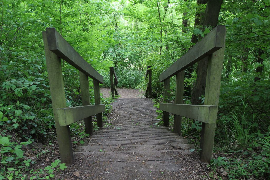 BOIS ESCALIER IMG_1077