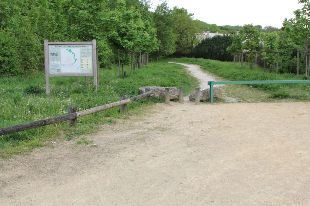 BOIS IMG_1090