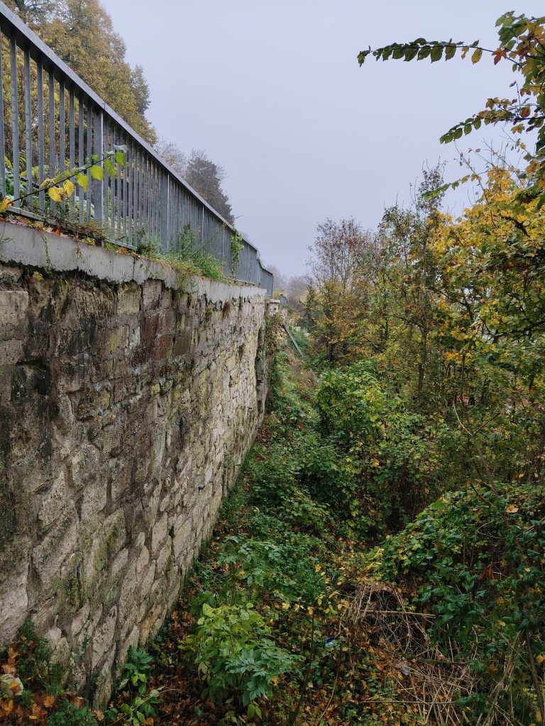 IMG_20251109_104033