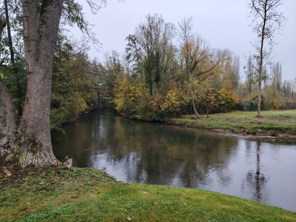 IMG_20251109_110946