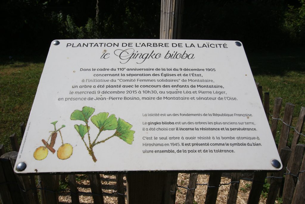 MOQUET LEGER GINKO C7D_8200