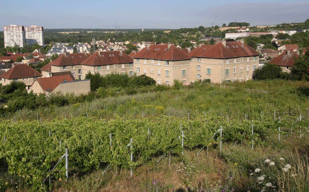 Page 10-06 CHERES VIGNES GUESDE C7D_8346 LIVRE