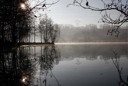 Parc du Prieuré – Etang de la Maladrerie