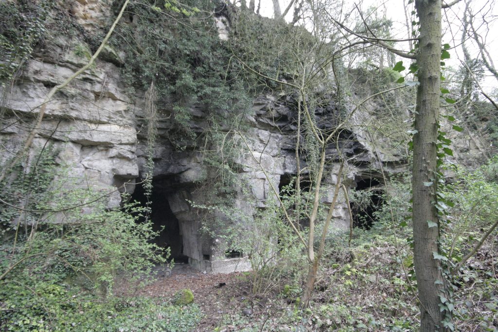 Pont Rouge GROTTES Haut Pont Rouge _MG_1780
