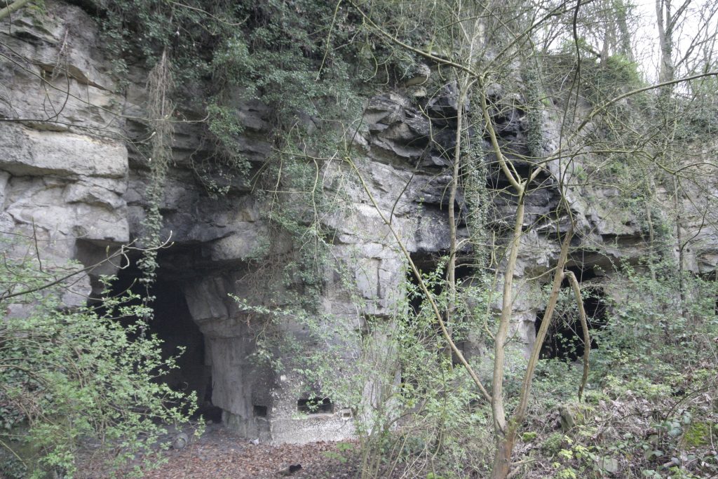 Pont Rouge GROTTES Haut Pont Rouge _MG_1781