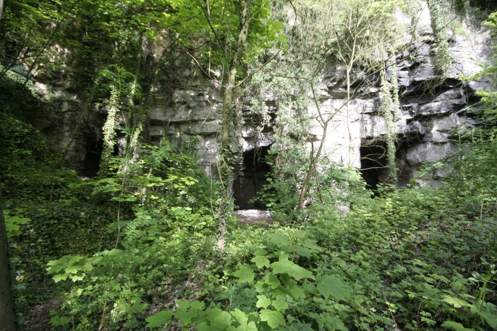 Pont Rouge GROTTES Haut Pont Rouge _MG_9991 [1600×1200]