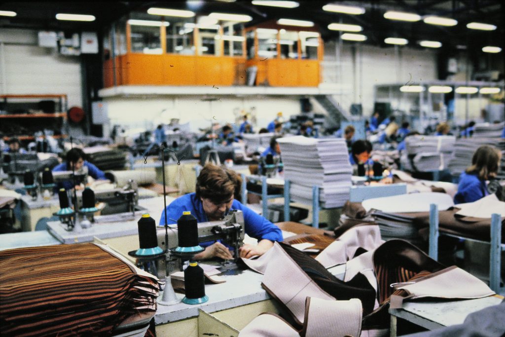 Sellerie 1980 C7D_7737