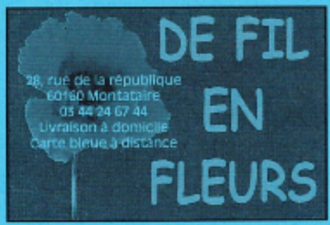 28 Ter Rue de la République -B- Fleuriste De fil en fleurs - Christelle Fay