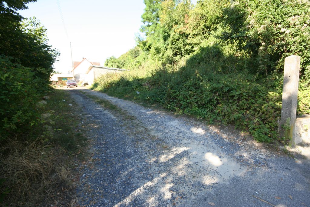 Cognard IMG_1781