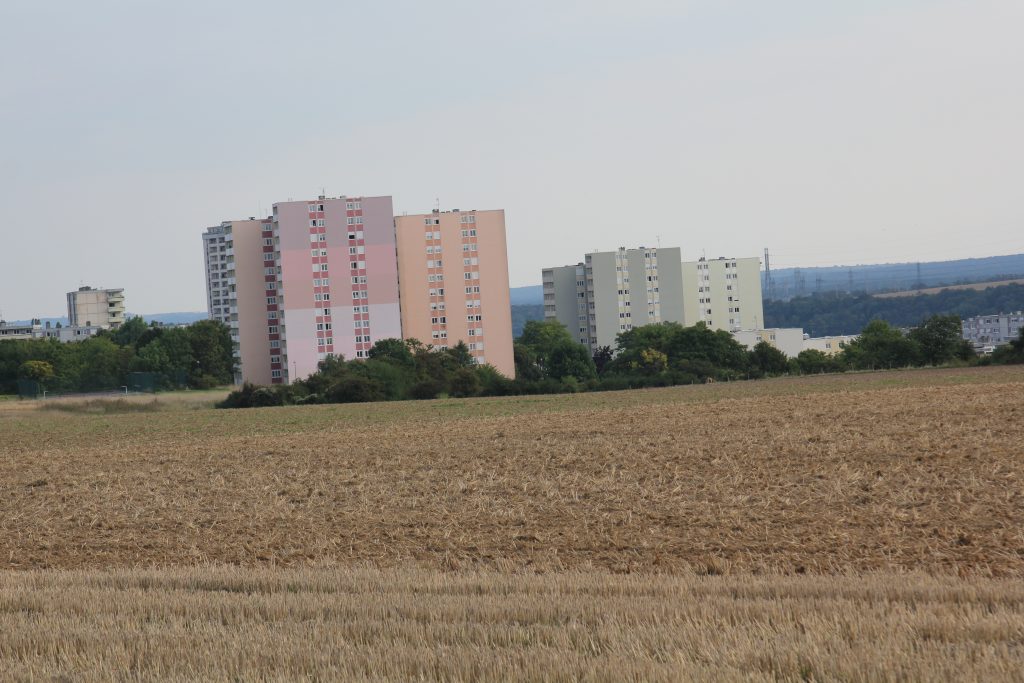 DECOUR IMG_7293
