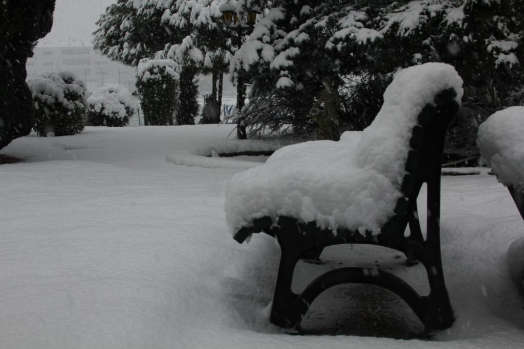 FONDS Neige IMG_0113