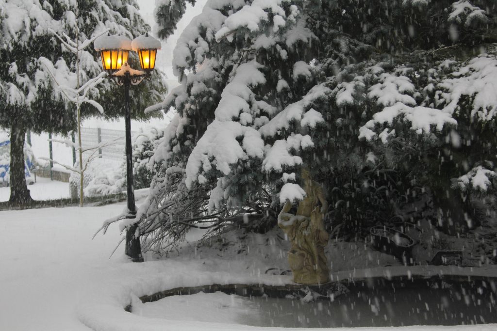 FONDS Neige IMG_0119