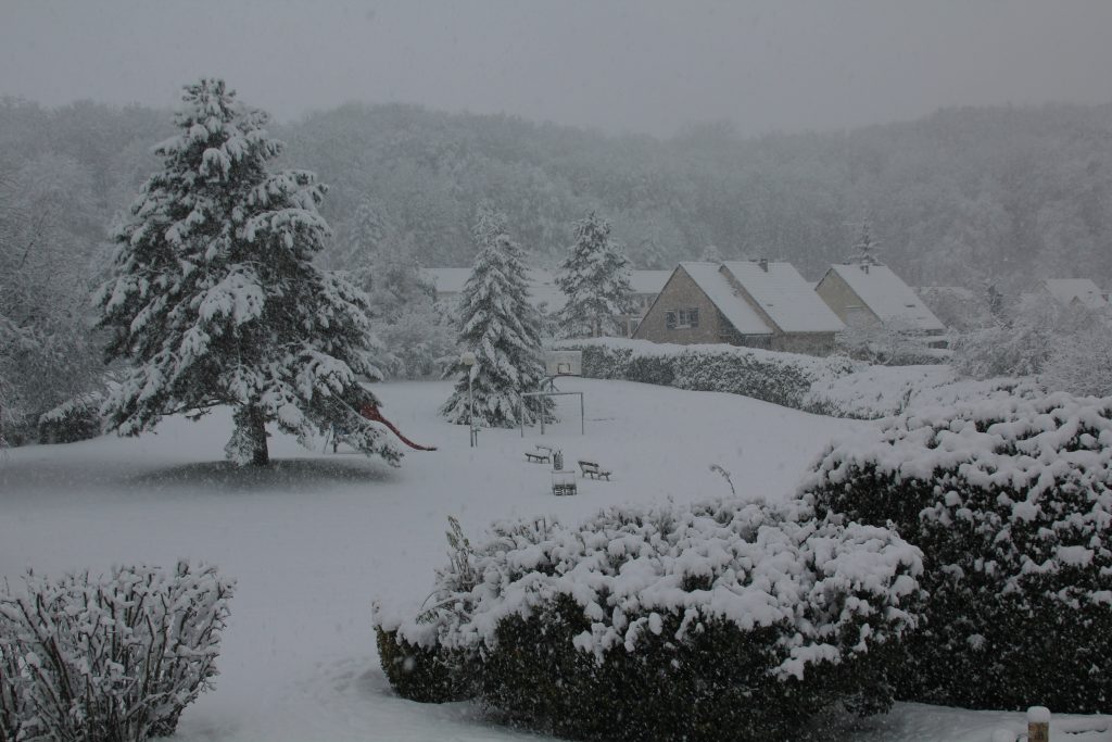 FONDS Neige IMG_0120
