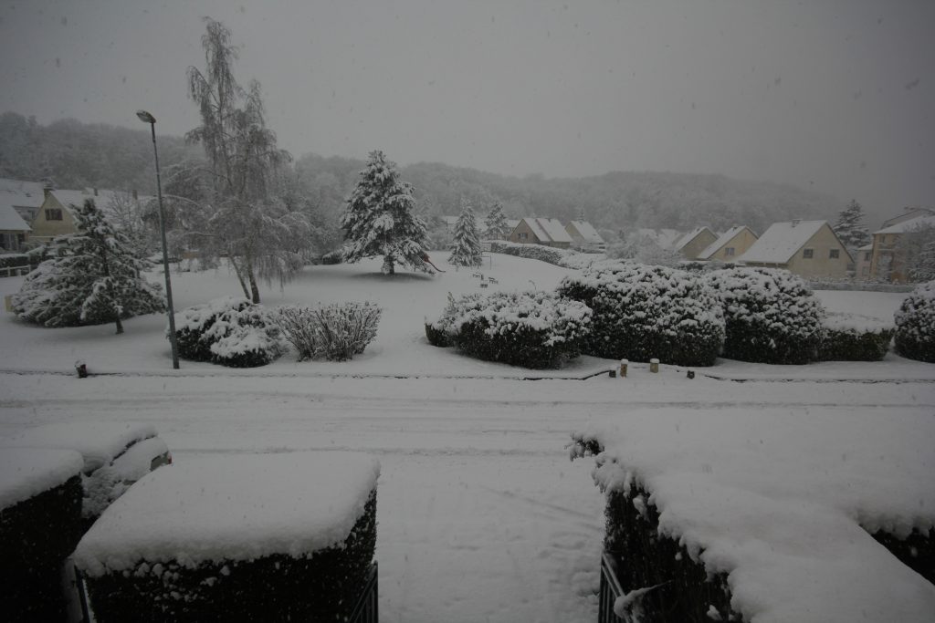 FONDS Neige IMG_0121