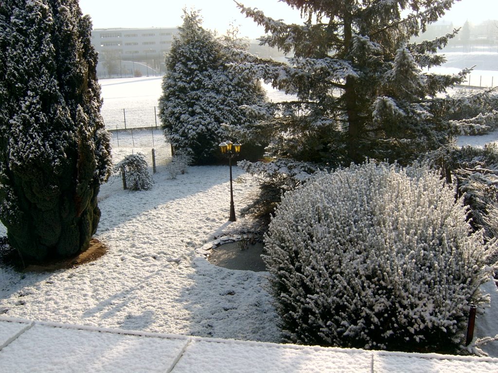 FONDS Neige SV400679