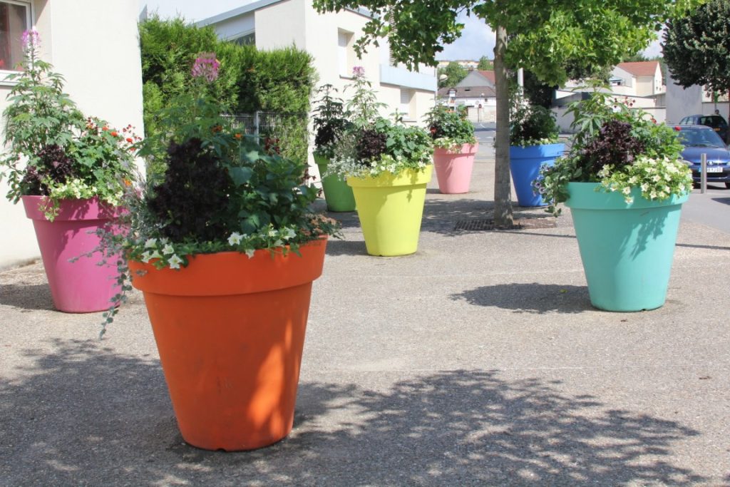 LESIOUR POTS-DE-FLEURS IMG_6332