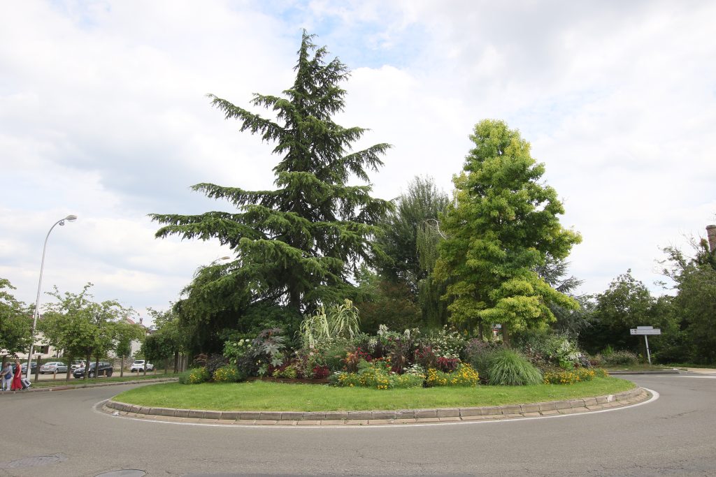 PALACE ROND-POINT C7D_8944 LIVRE