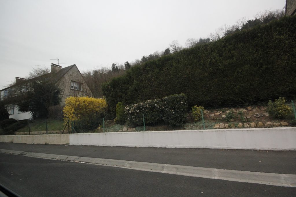 Pasteur IMG_0523