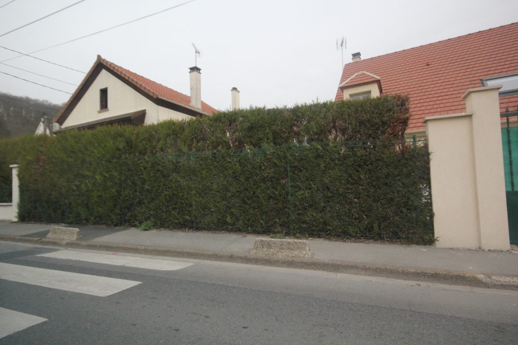 ZOLA IMG_0688