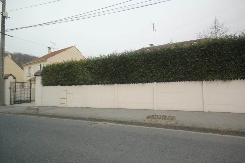 ZOLA IMG_0693