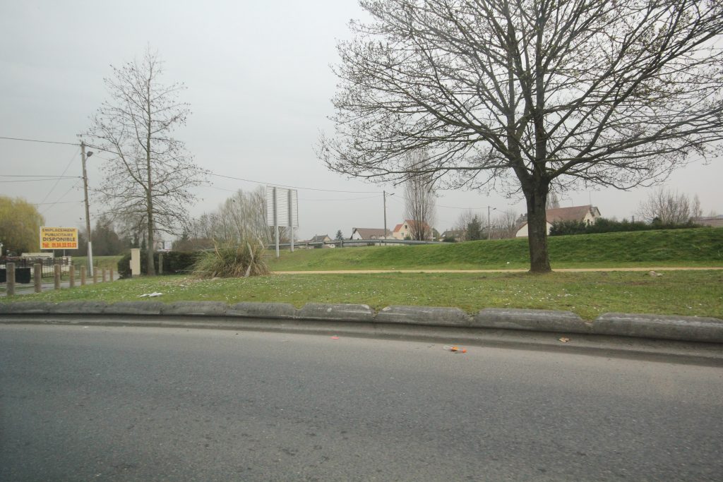 ZOLA IMG_0706