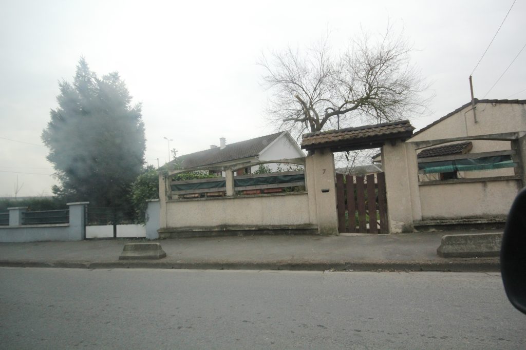ZOLA IMG_1069