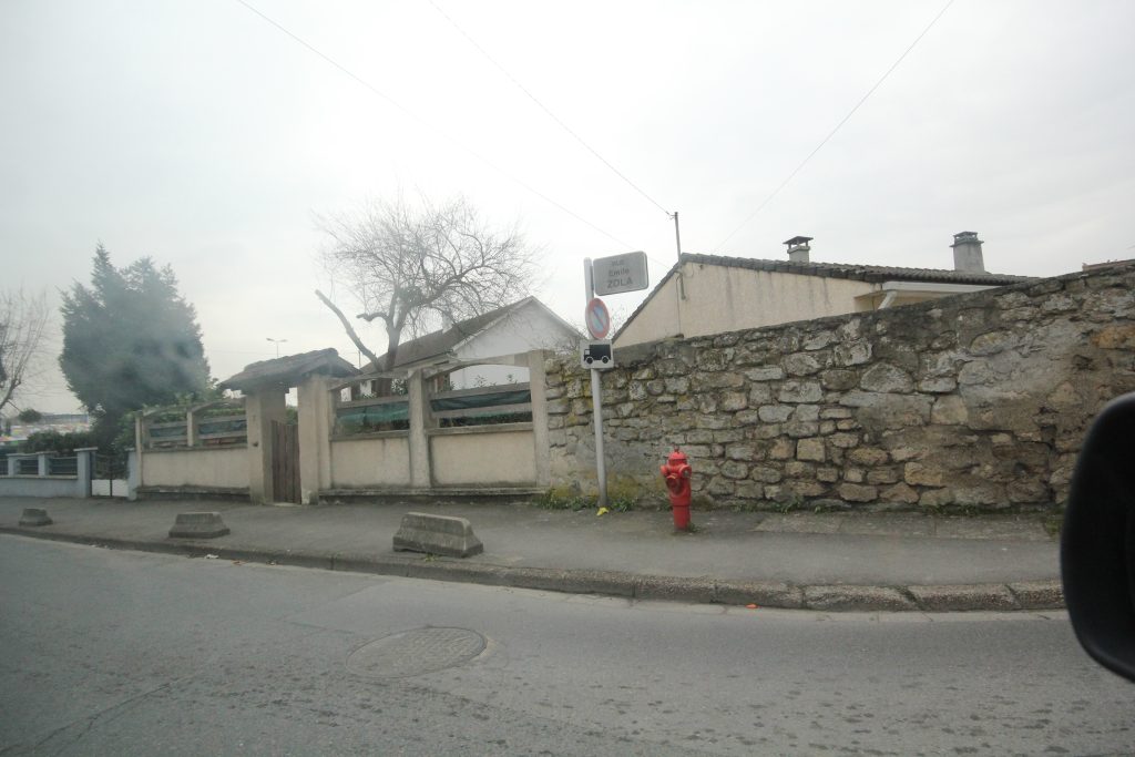 ZOLA IMG_1070