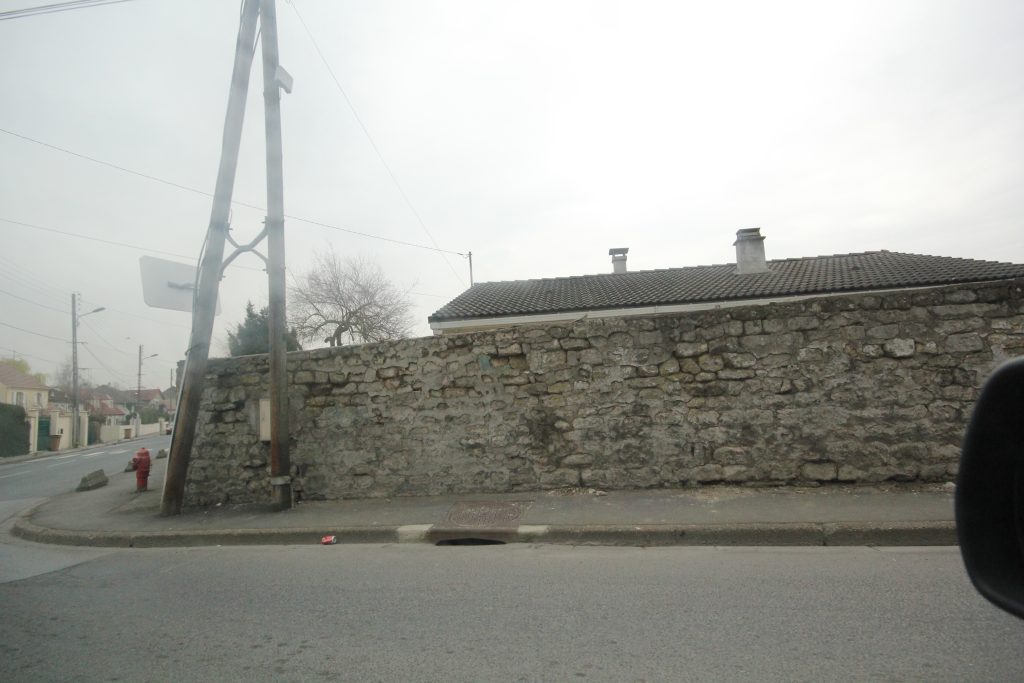 ZOLA IMG_1071