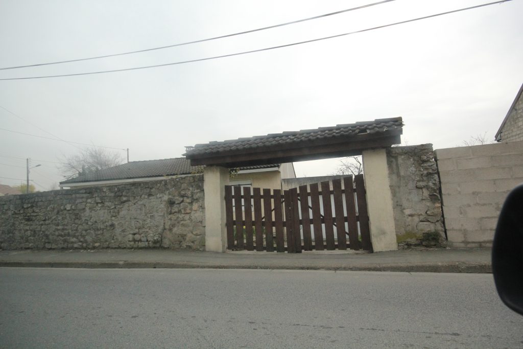ZOLA IMG_1072