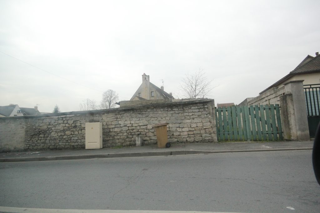 ZOLA IMG_1079