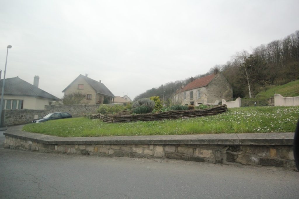 ZOLA IMG_1081
