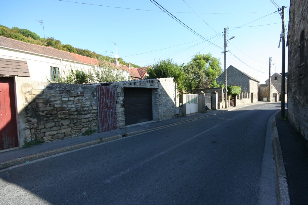 ZOLA IMG_1755