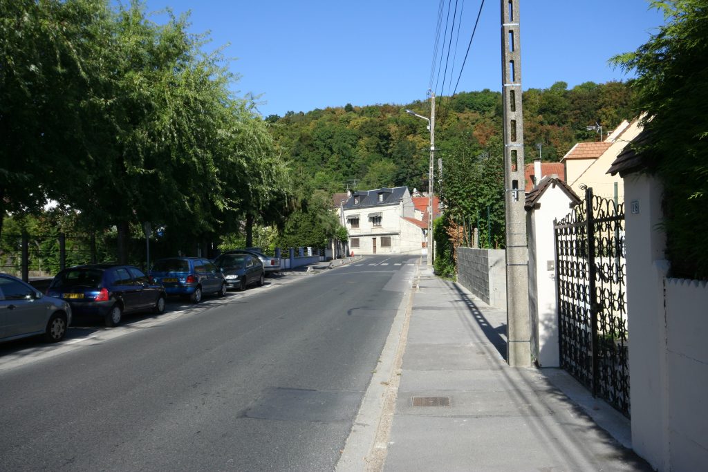 ZOLA IMG_1798