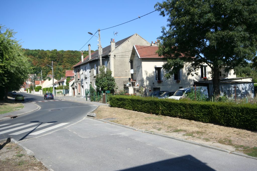 ZOLA IMG_1912